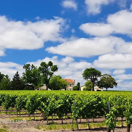 La Metairie Erable Au Milieu Des Vignes Apartamento